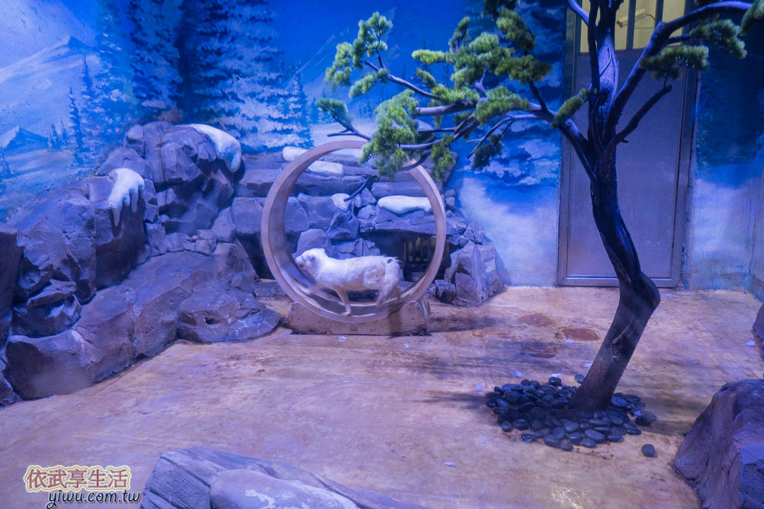 上海海昌海洋公園