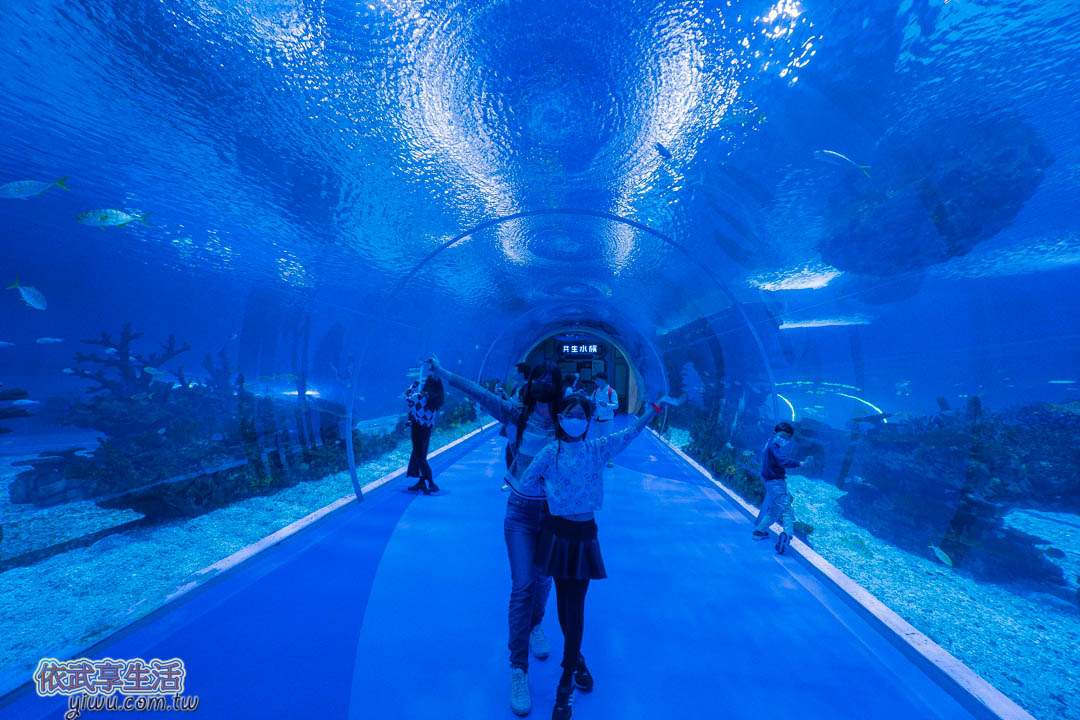 上海海昌海洋公園