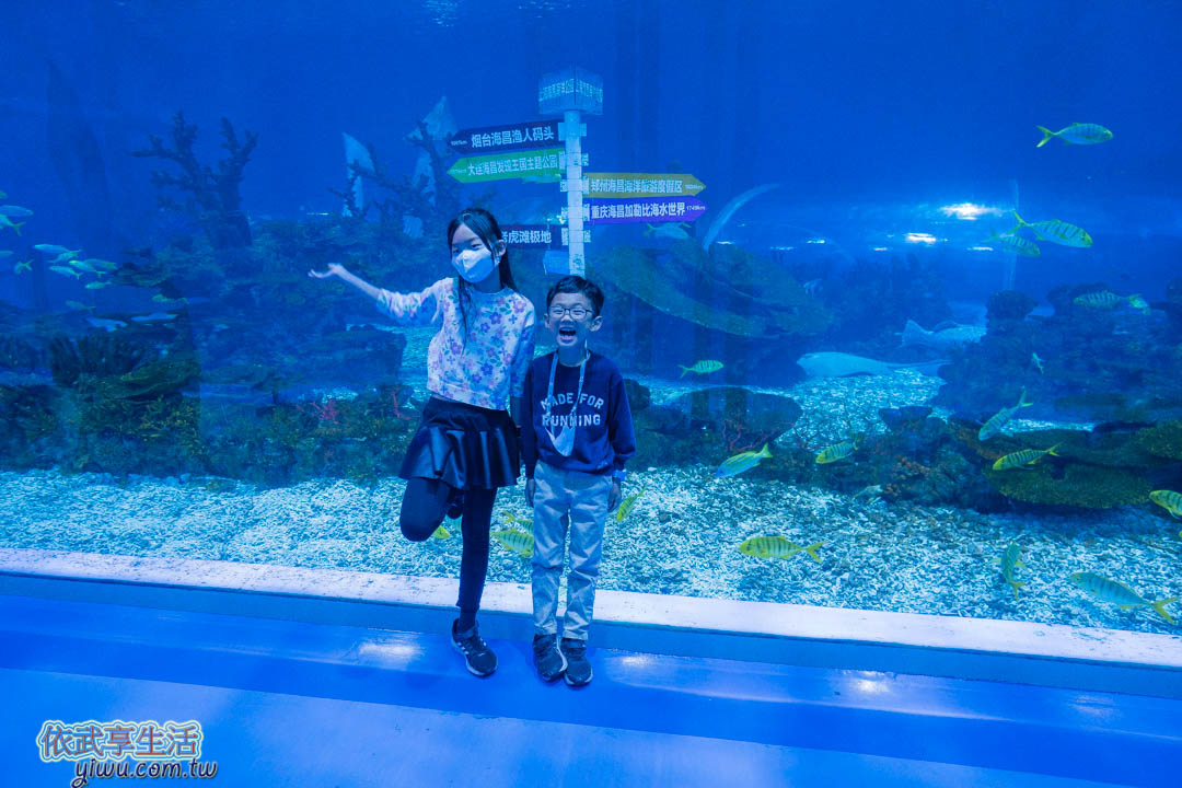 上海海昌海洋公園