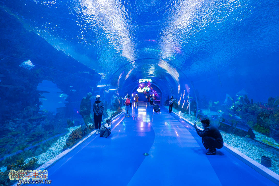 上海海昌海洋公園