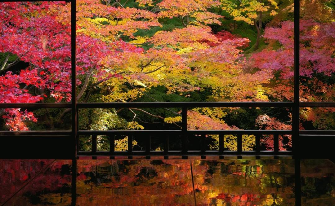 京都景點