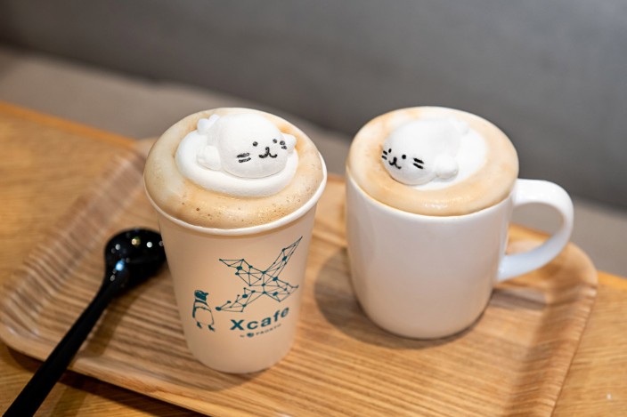 xpark最新消息