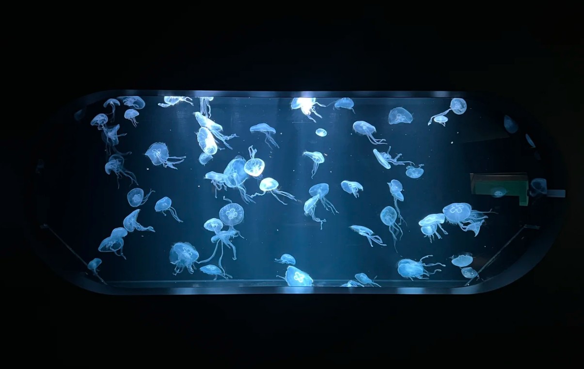 狸小路商店街必逛 狸小路商店街必逛