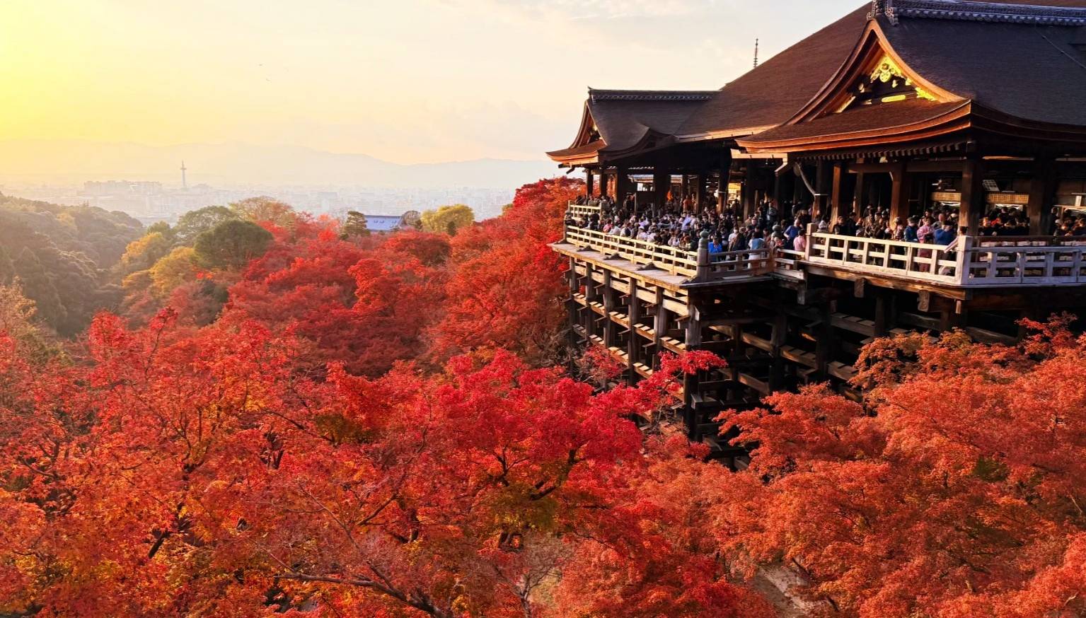 清水寺賞楓 清水寺賞楓