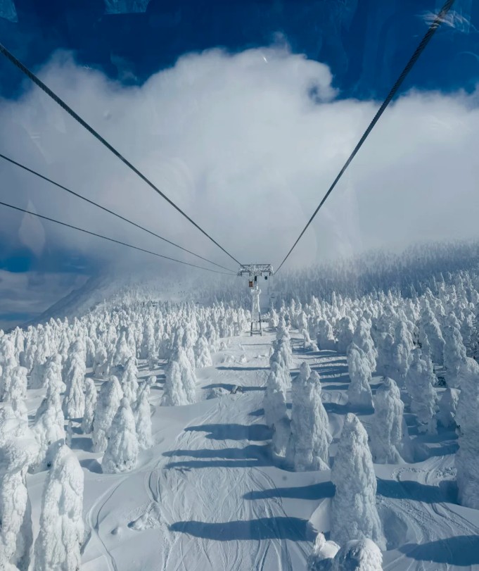 仙台自由行 仙台自由行