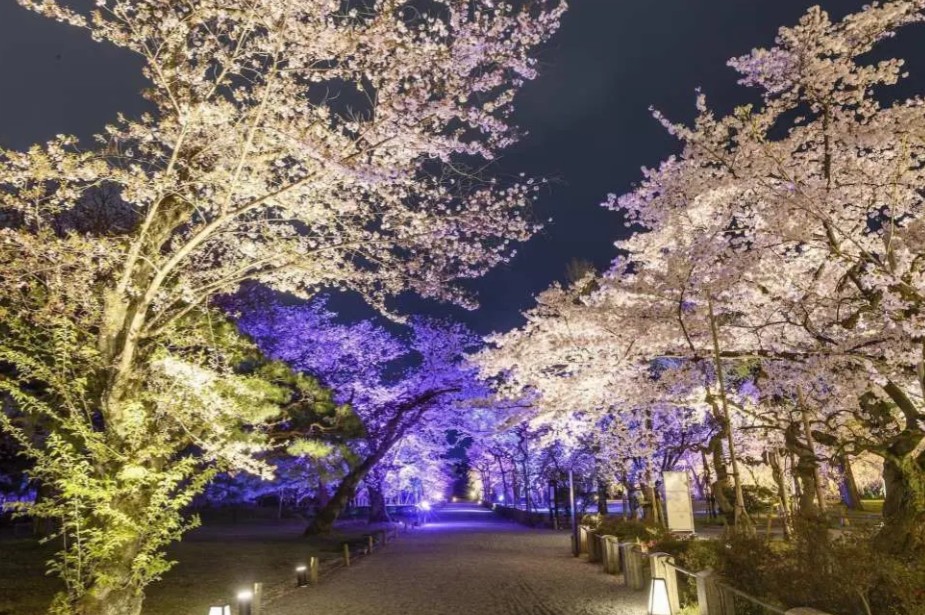 2026京都景點活動 2026京都景點活動