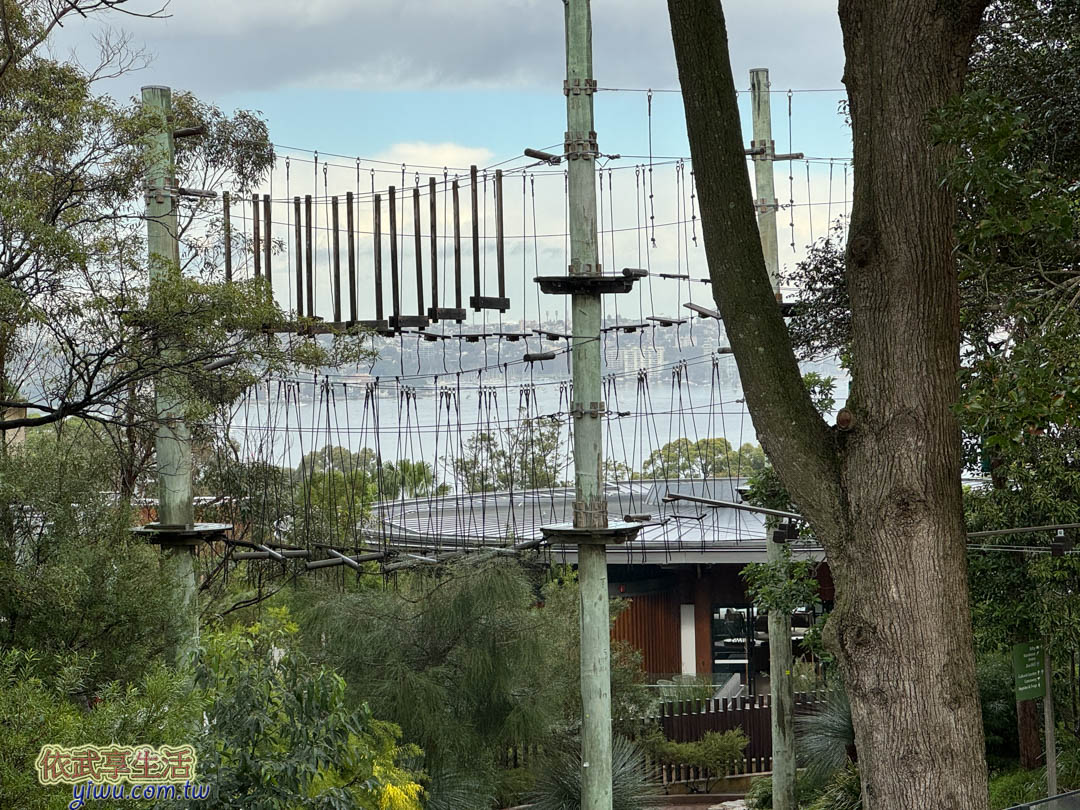 塔隆加動物園 塔隆加動物園