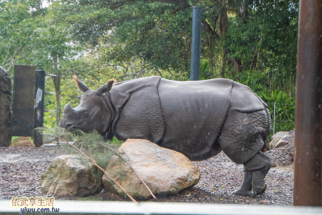 塔隆加動物園 塔隆加動物園