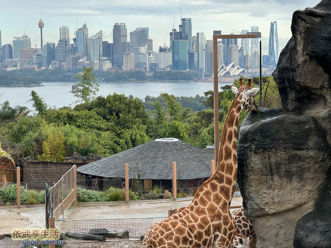 塔隆加動物園 塔隆加動物園