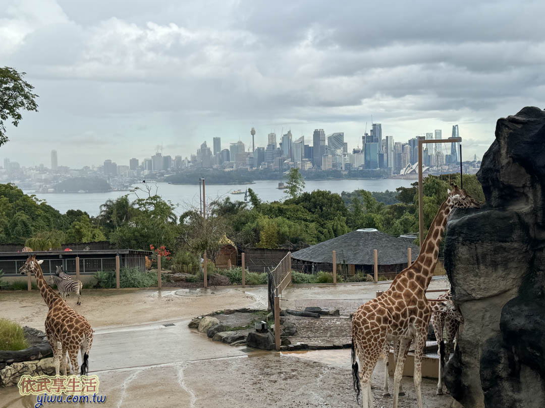 塔隆加動物園 塔隆加動物園