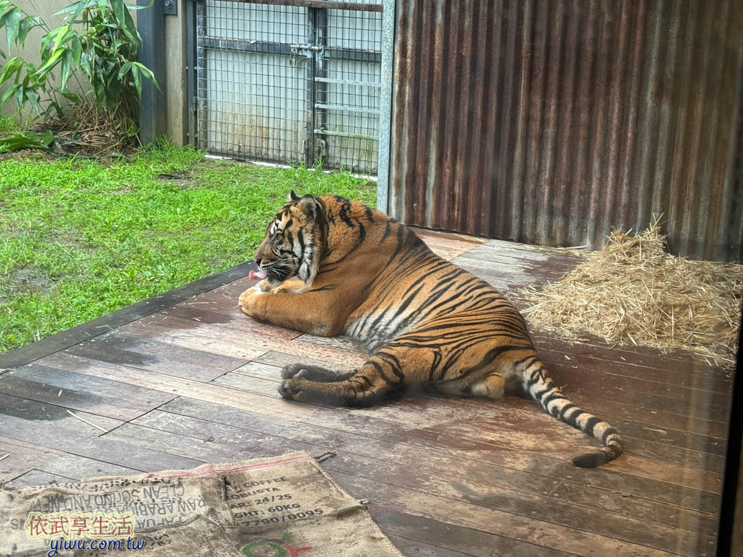 塔隆加動物園 塔隆加動物園
