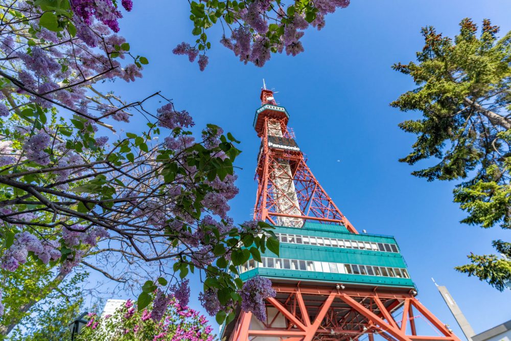 札幌電視塔 札幌電視塔