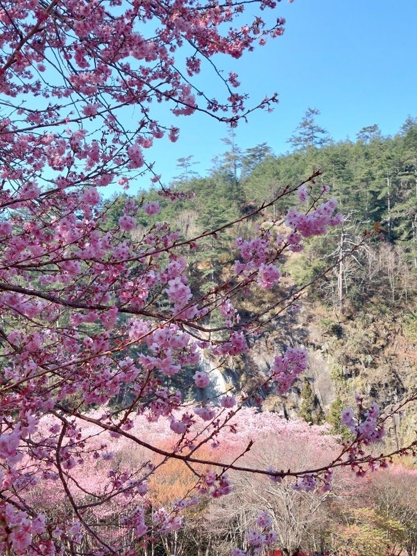 武陵農場