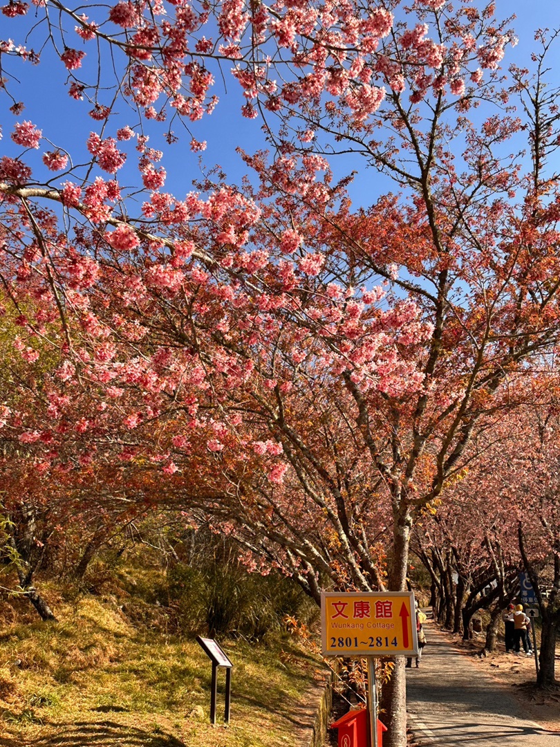 武陵農場