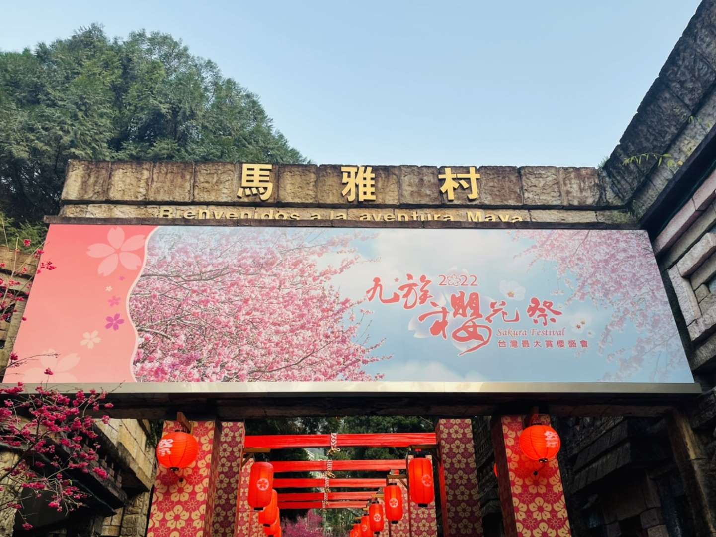 九族櫻花季2022