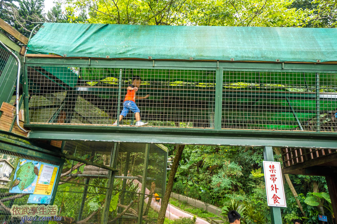 森林鳥花園