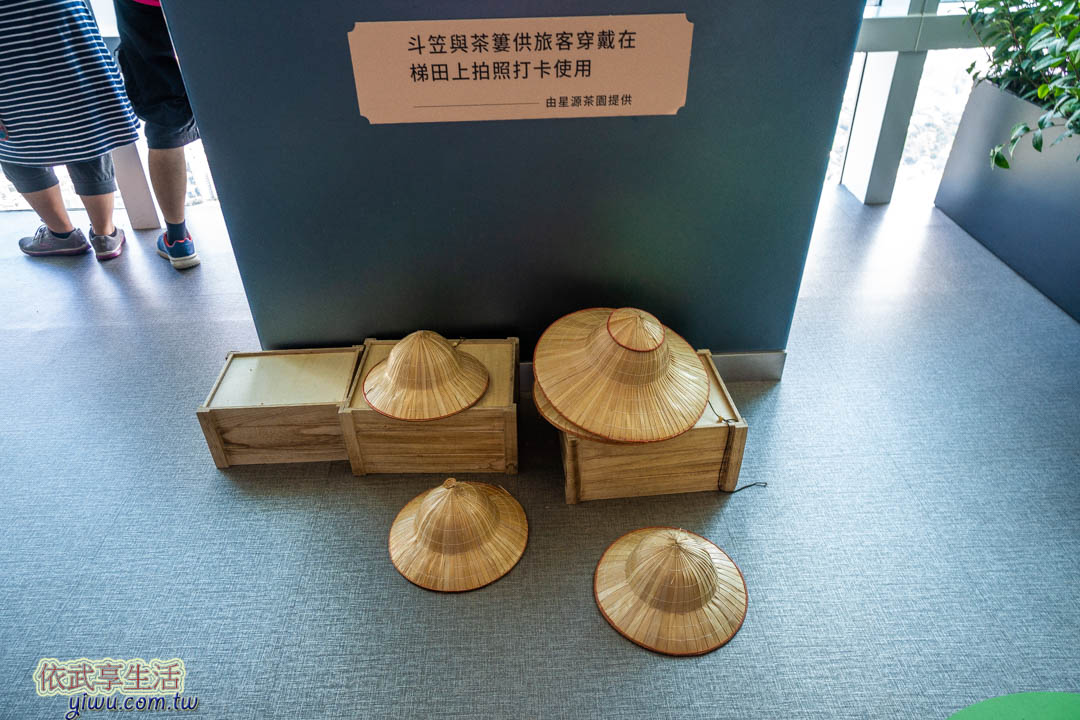 101觀景台茶園