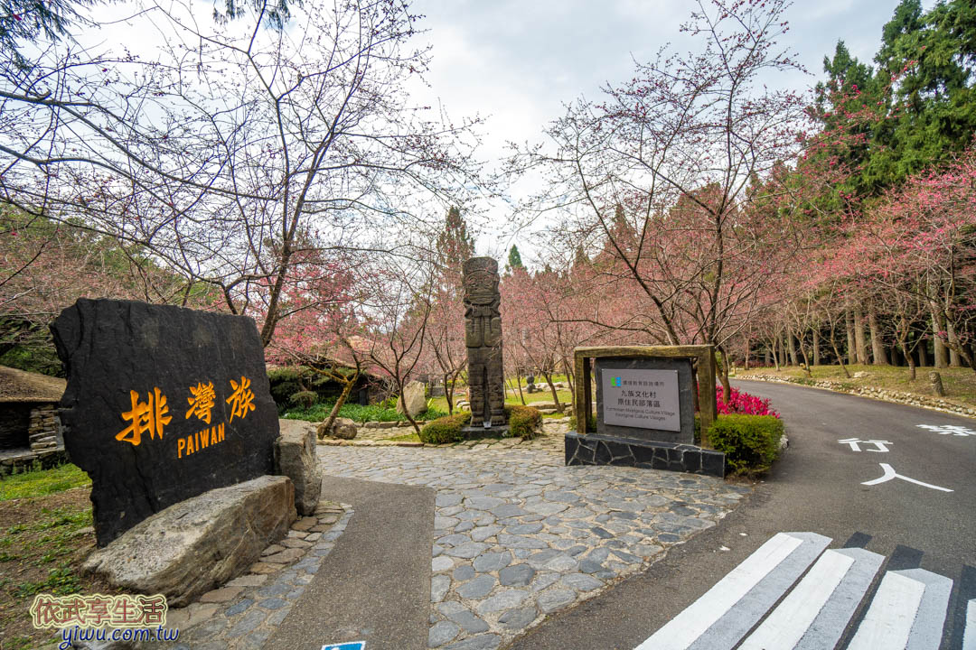 九族文化村櫻花祭
