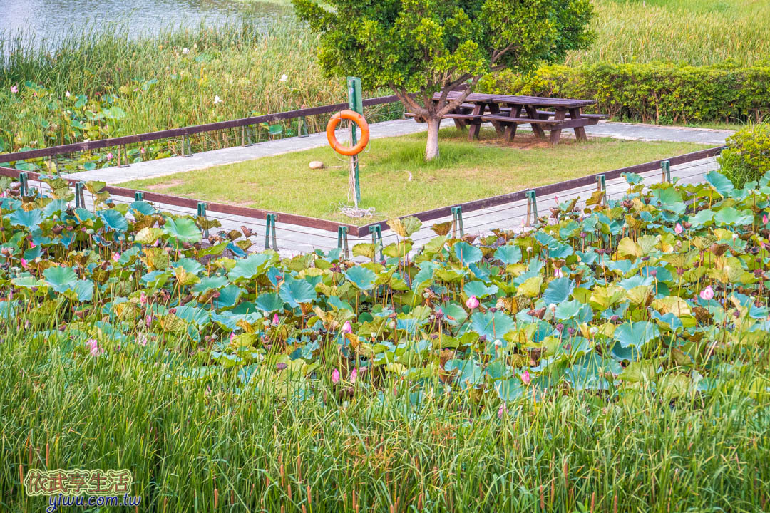 青塘園