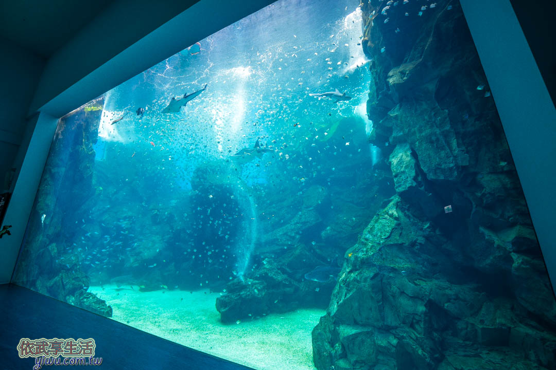 八景島水族館Xpark
