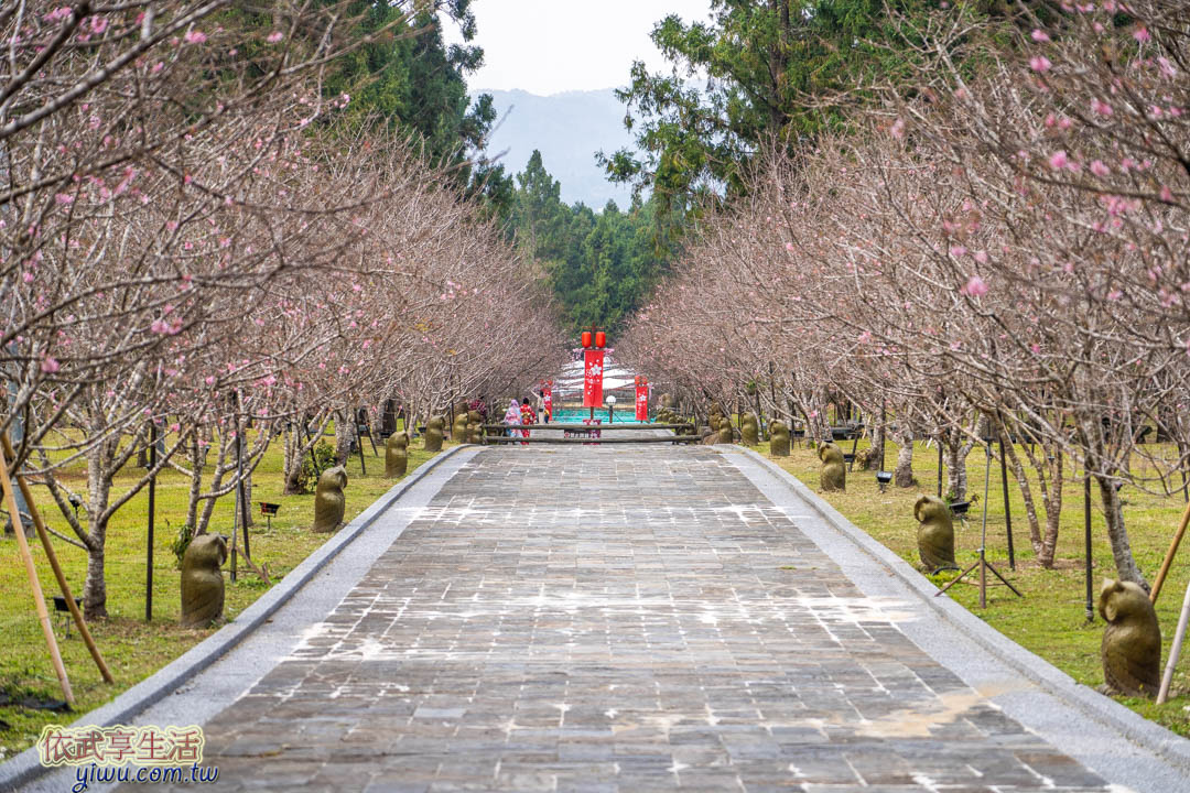 九族文化村櫻花祭