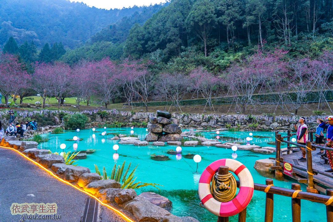 九族文化村櫻花祭