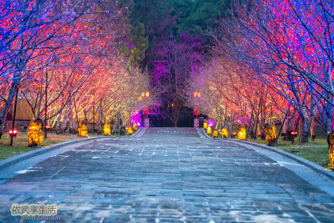 九族文化村櫻花祭