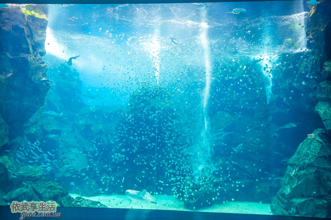 八景島水族館Xpark