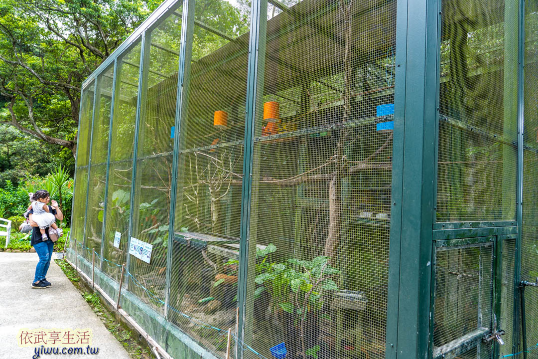 森林鳥花園