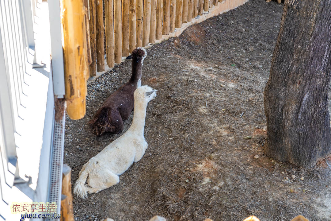 新竹市立動物園