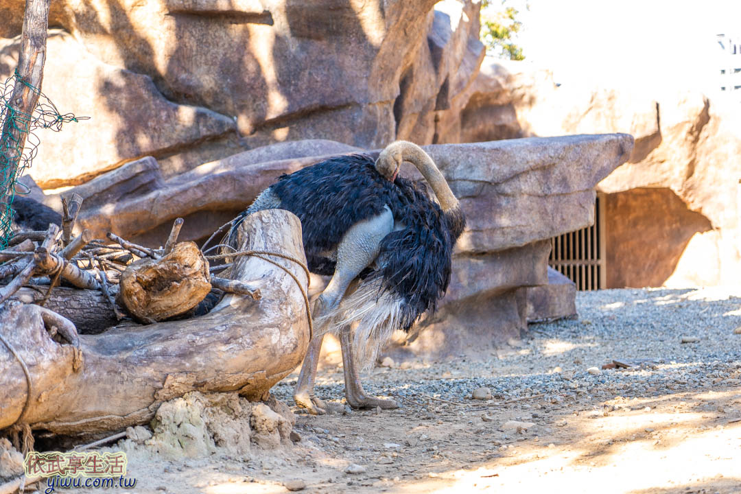 新竹市立動物園