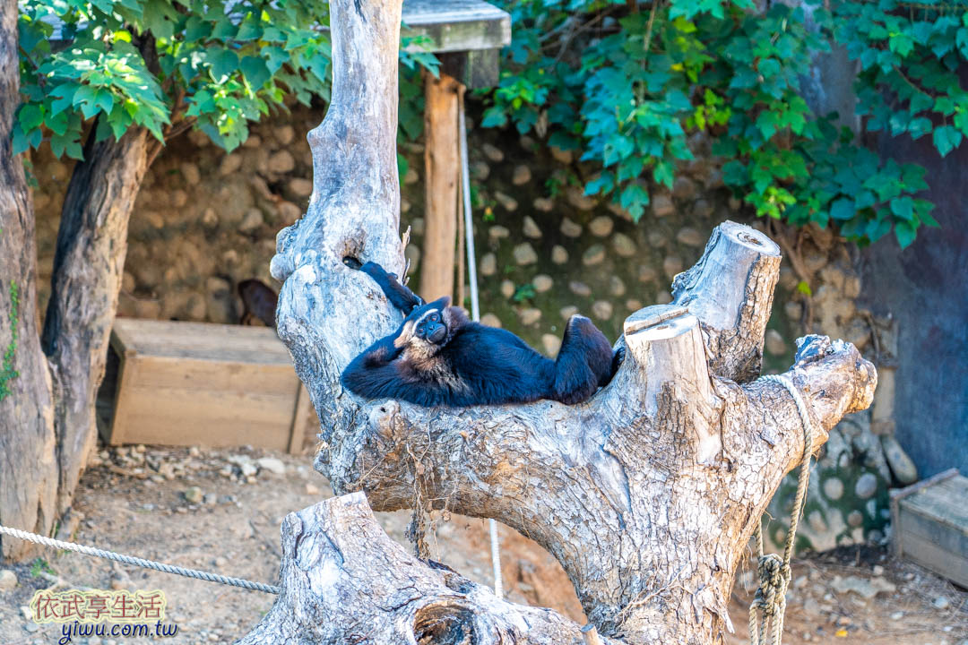 新竹市立動物園