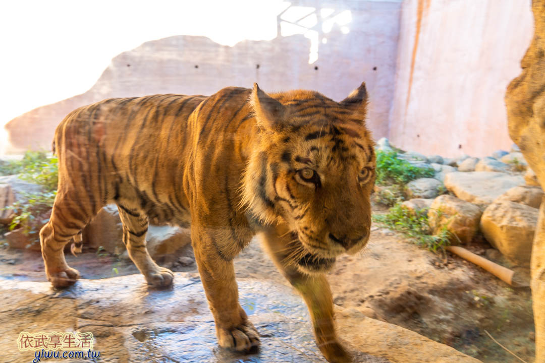 新竹市立動物園