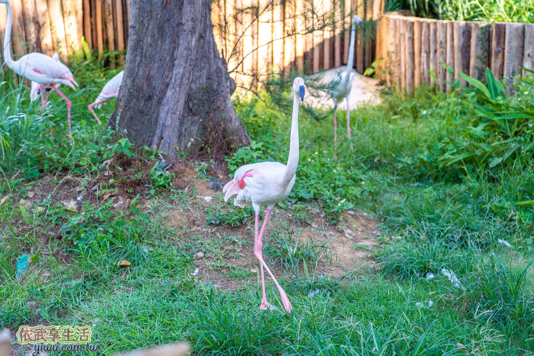 新竹市立動物園