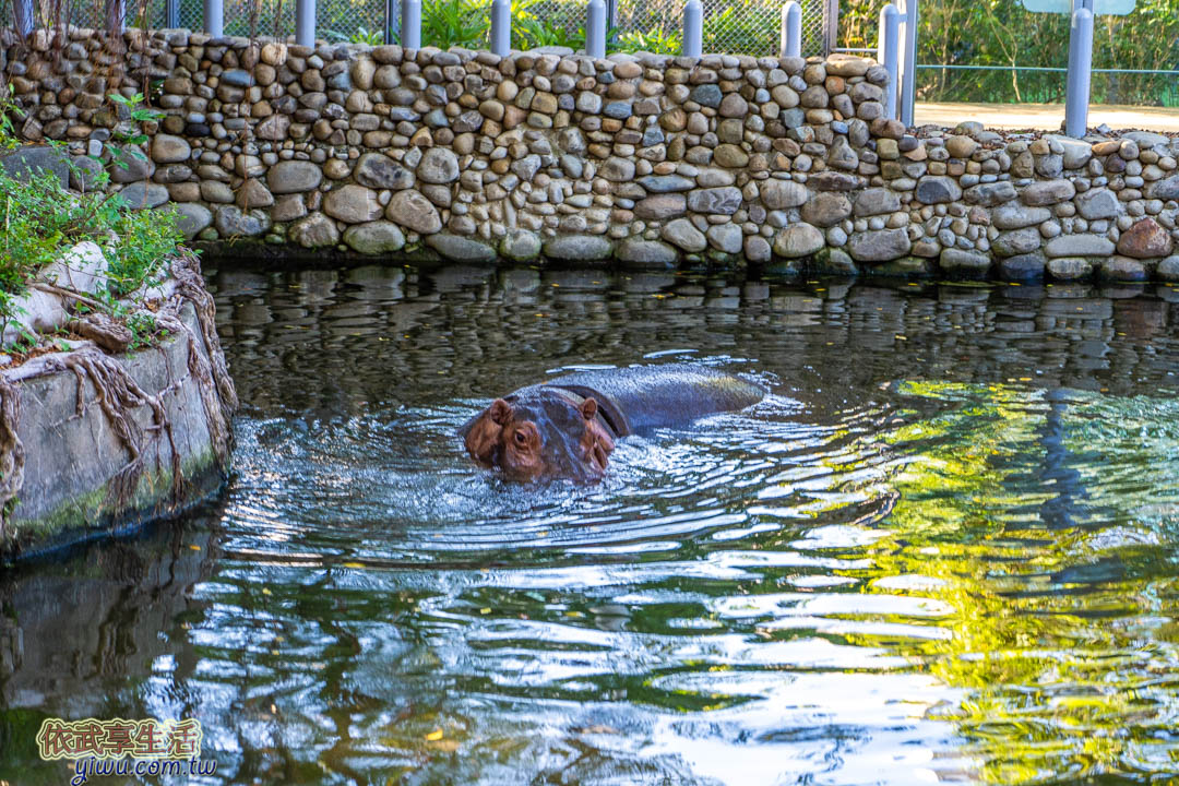 新竹市立動物園