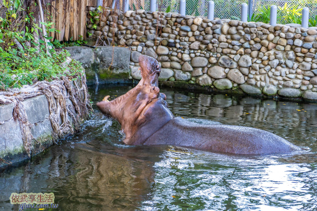 新竹市立動物園