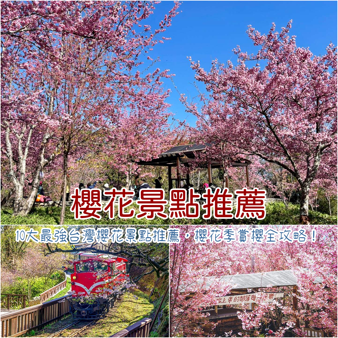台灣櫻花景點推薦