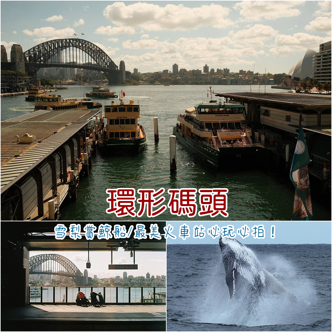 環形碼頭 環形碼頭