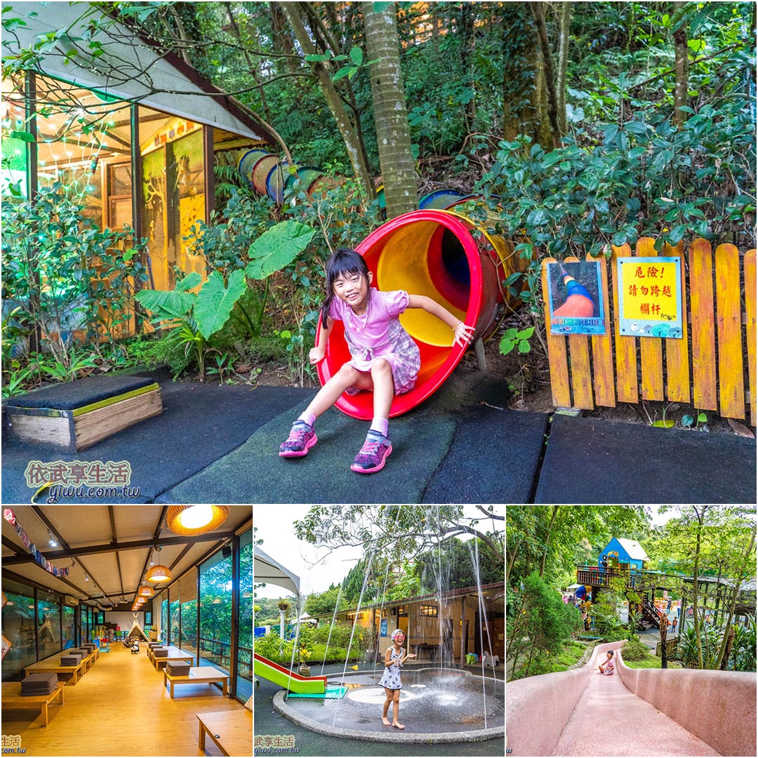 forest bird garden1080