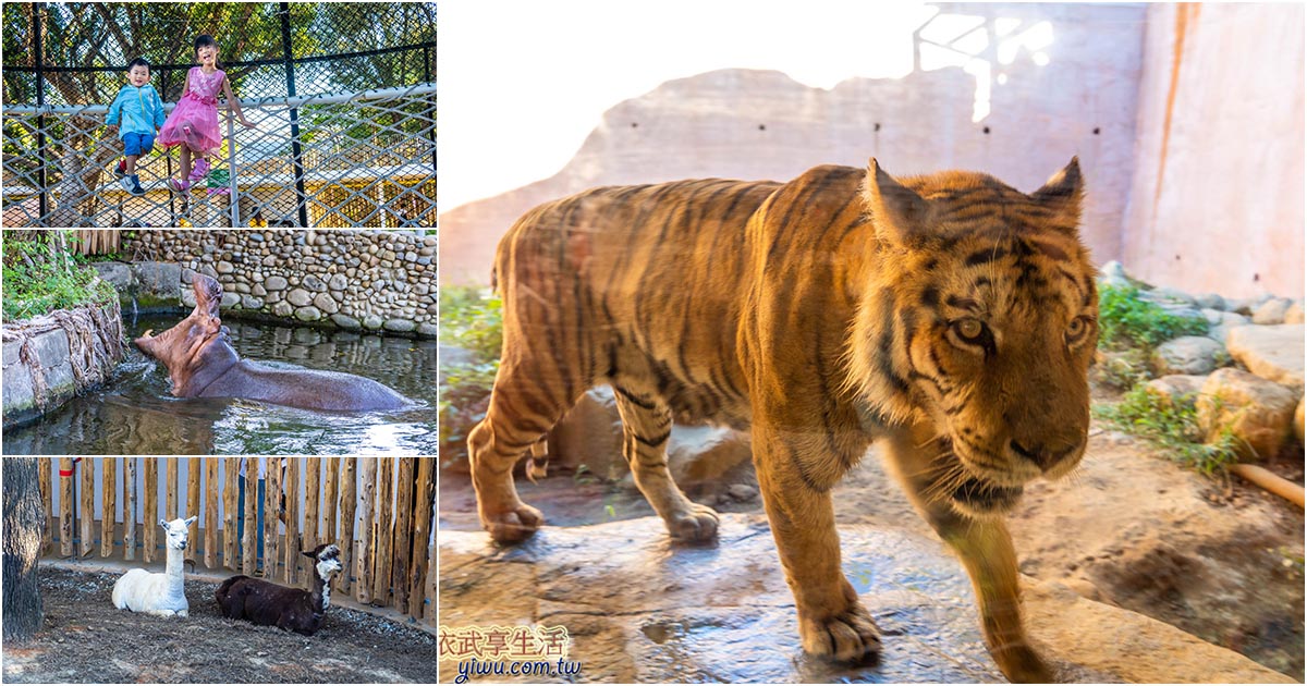 新竹市立動物園2025》逛多久？交通/門票/停車/評價/美食/附近景點全攻略！