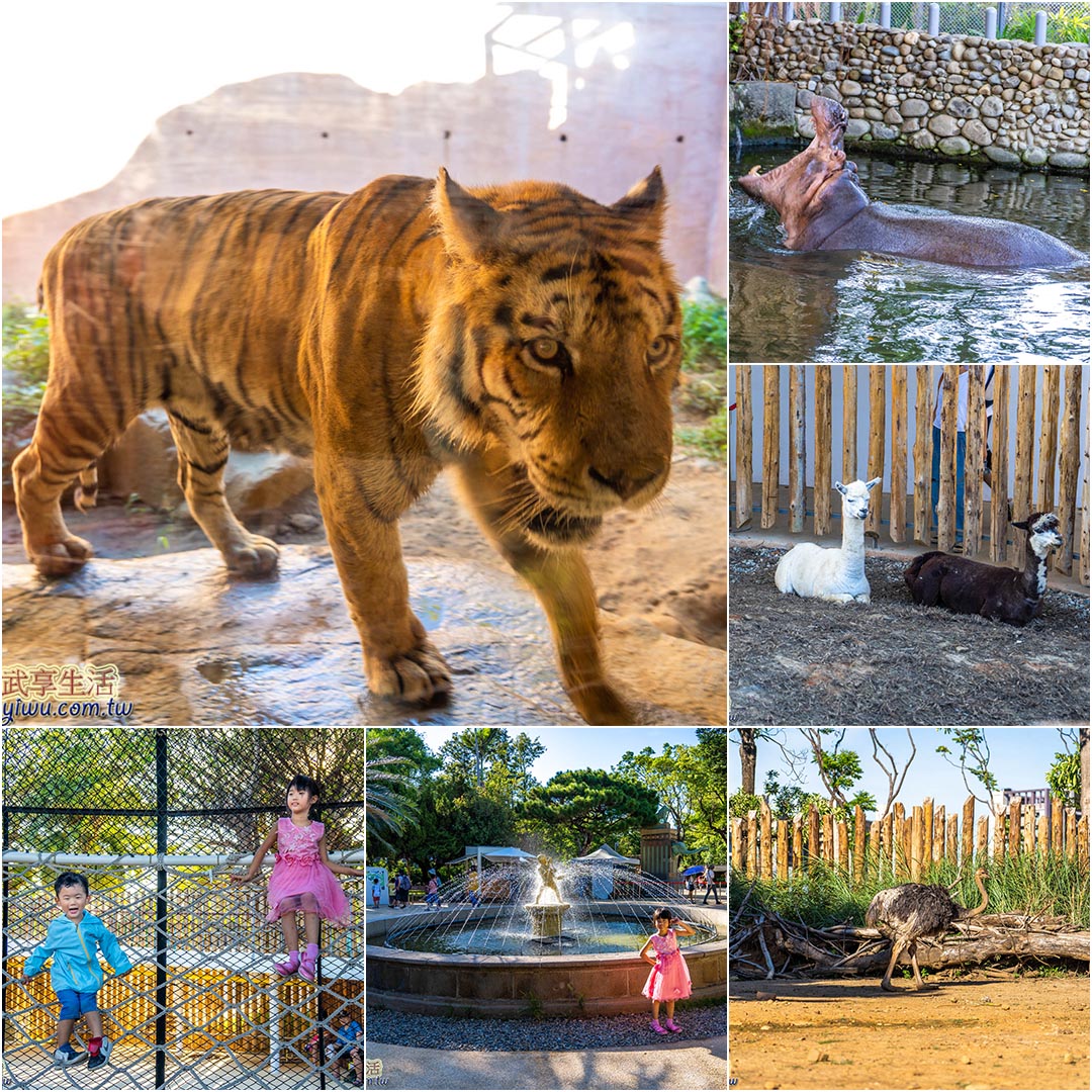 hsinchu-zoo