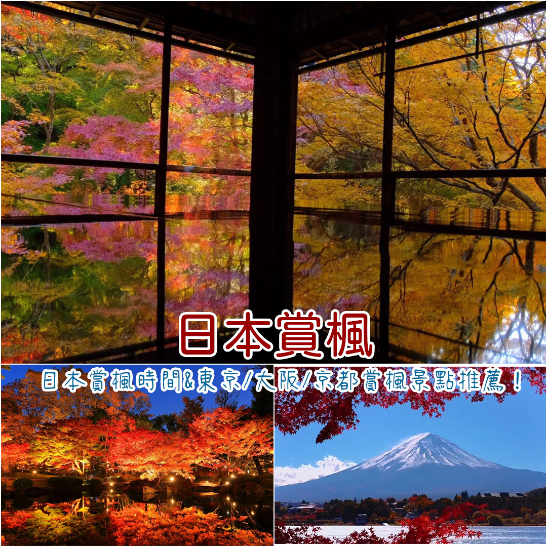日本賞楓