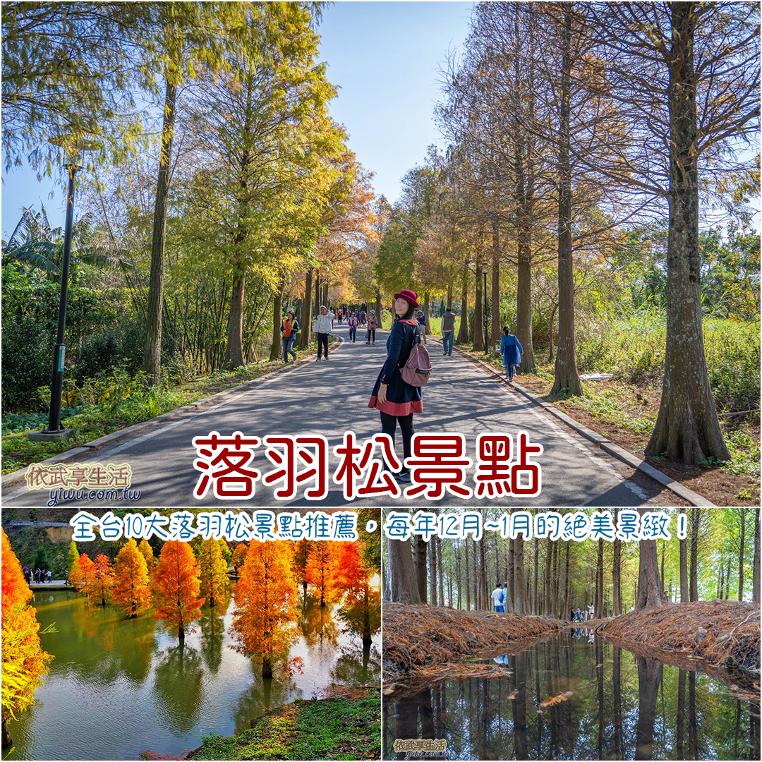落羽松景點推薦