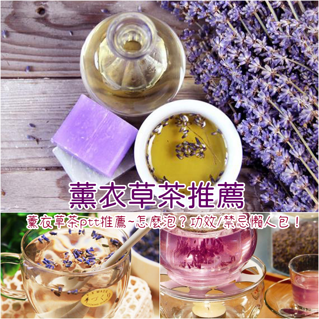 薰衣草茶推薦
