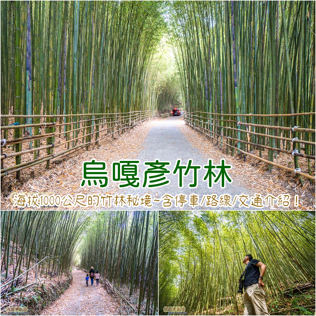 烏嘎彥竹林