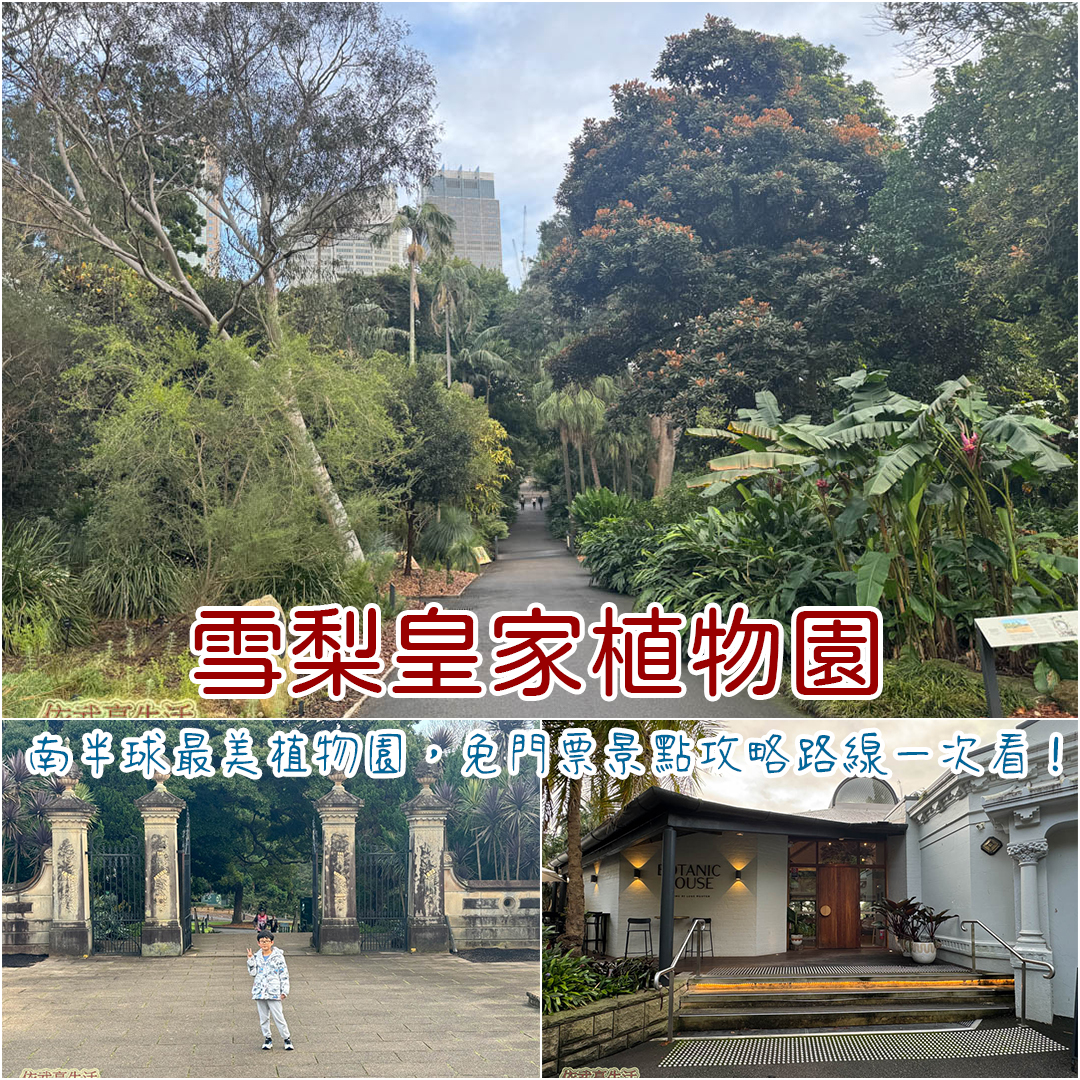 雪梨皇家植物園 雪梨皇家植物園