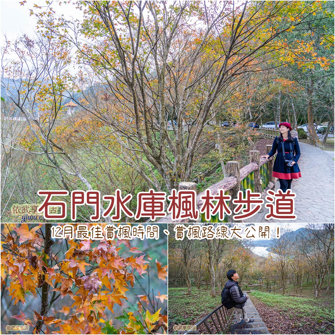 石門水庫賞楓