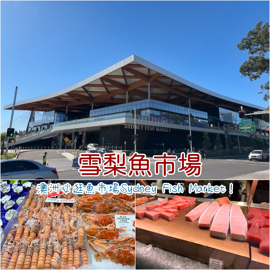 雪梨魚市場 雪梨魚市場