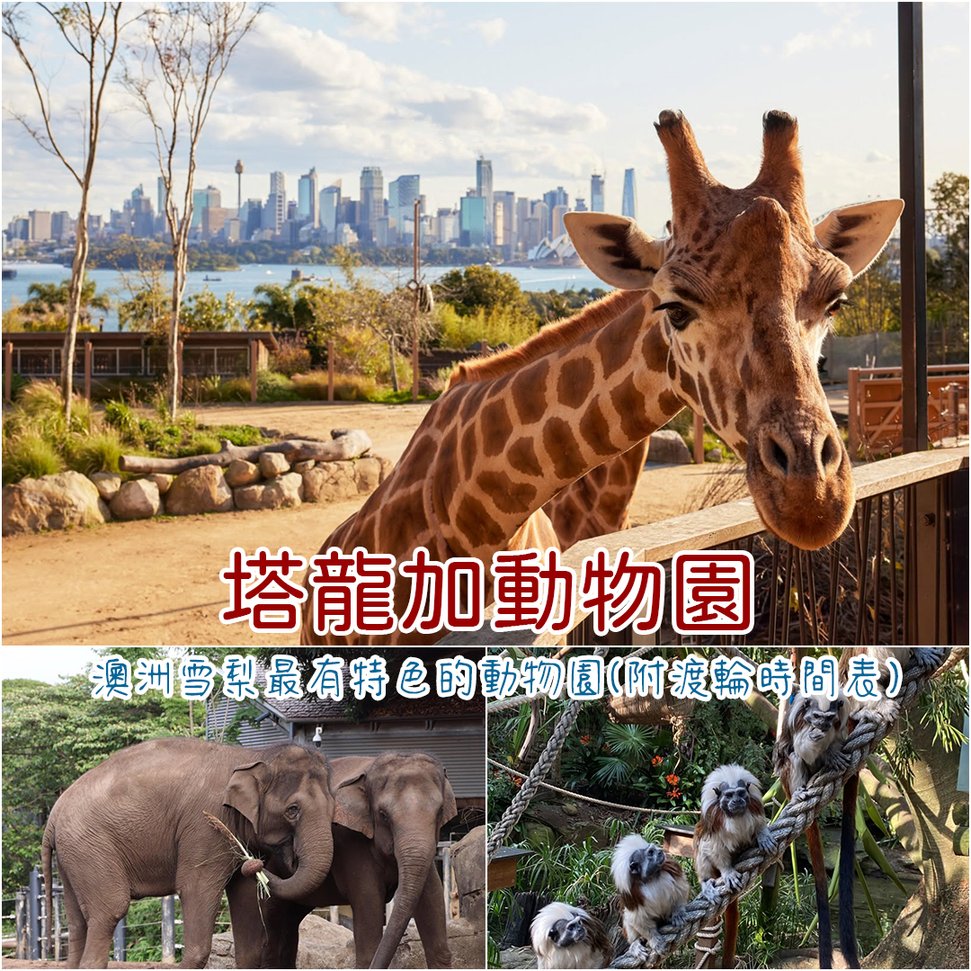 塔龍加動物園 塔龍加動物園