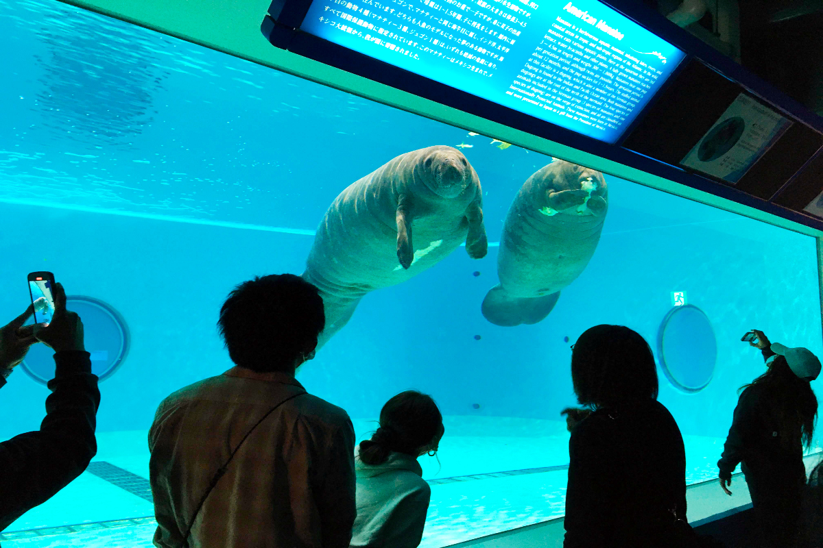 海洋博公園